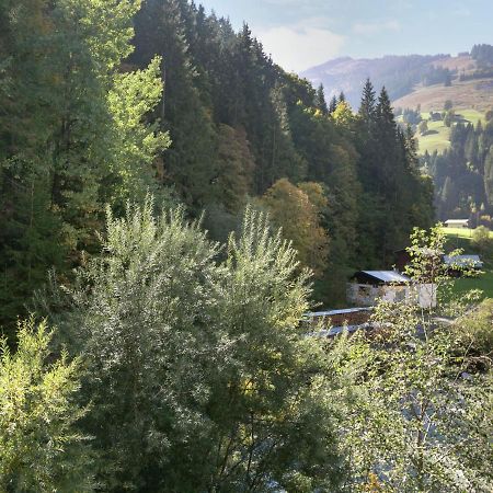 Apartment In Salzburgerland Near The Ski Area Viehhofen Kültér fotó