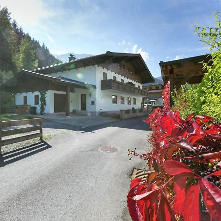 Apartment In Salzburgerland Near The Ski Area Viehhofen Kültér fotó