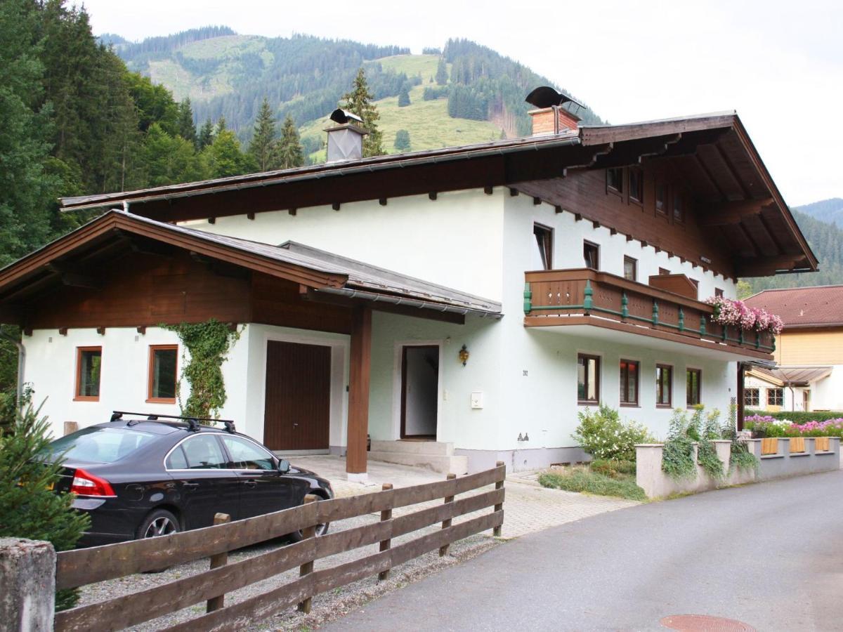 Apartment In Salzburgerland Near The Ski Area Viehhofen Kültér fotó