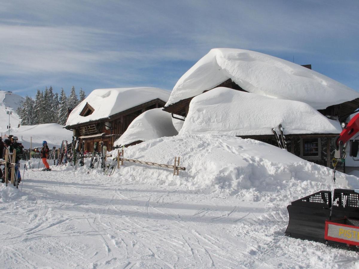 Apartment In Salzburgerland Near The Ski Area Viehhofen Kültér fotó
