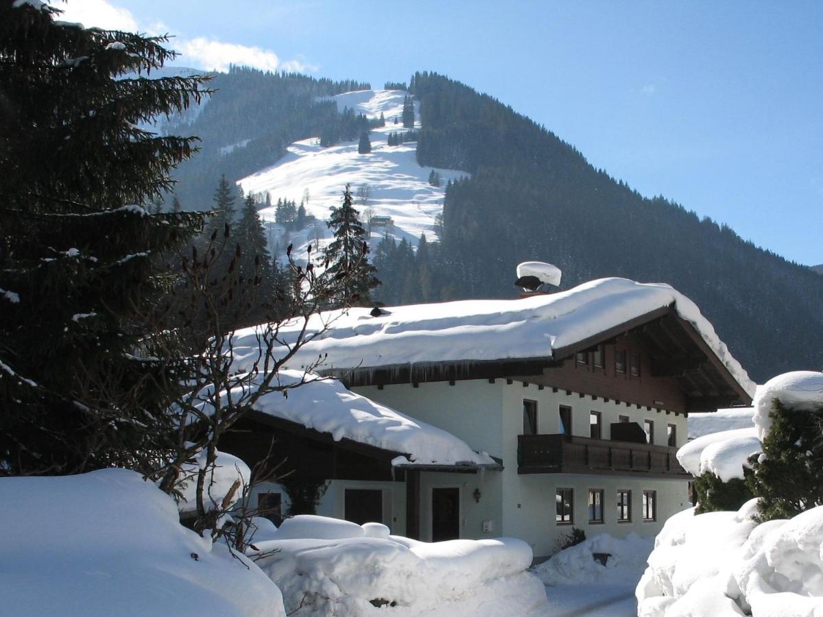 Apartment In Salzburgerland Near The Ski Area Viehhofen Kültér fotó