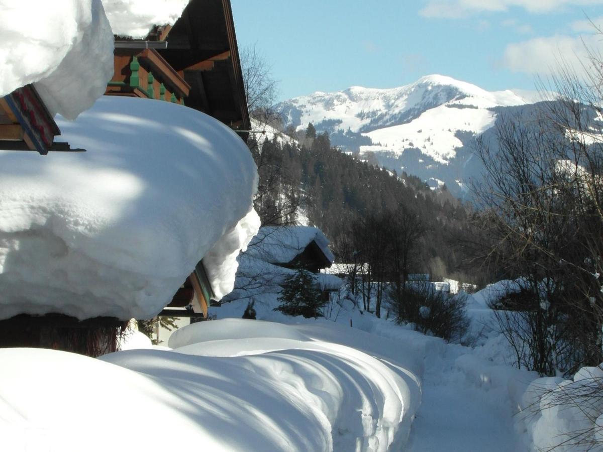 Apartment In Salzburgerland Near The Ski Area Viehhofen Kültér fotó