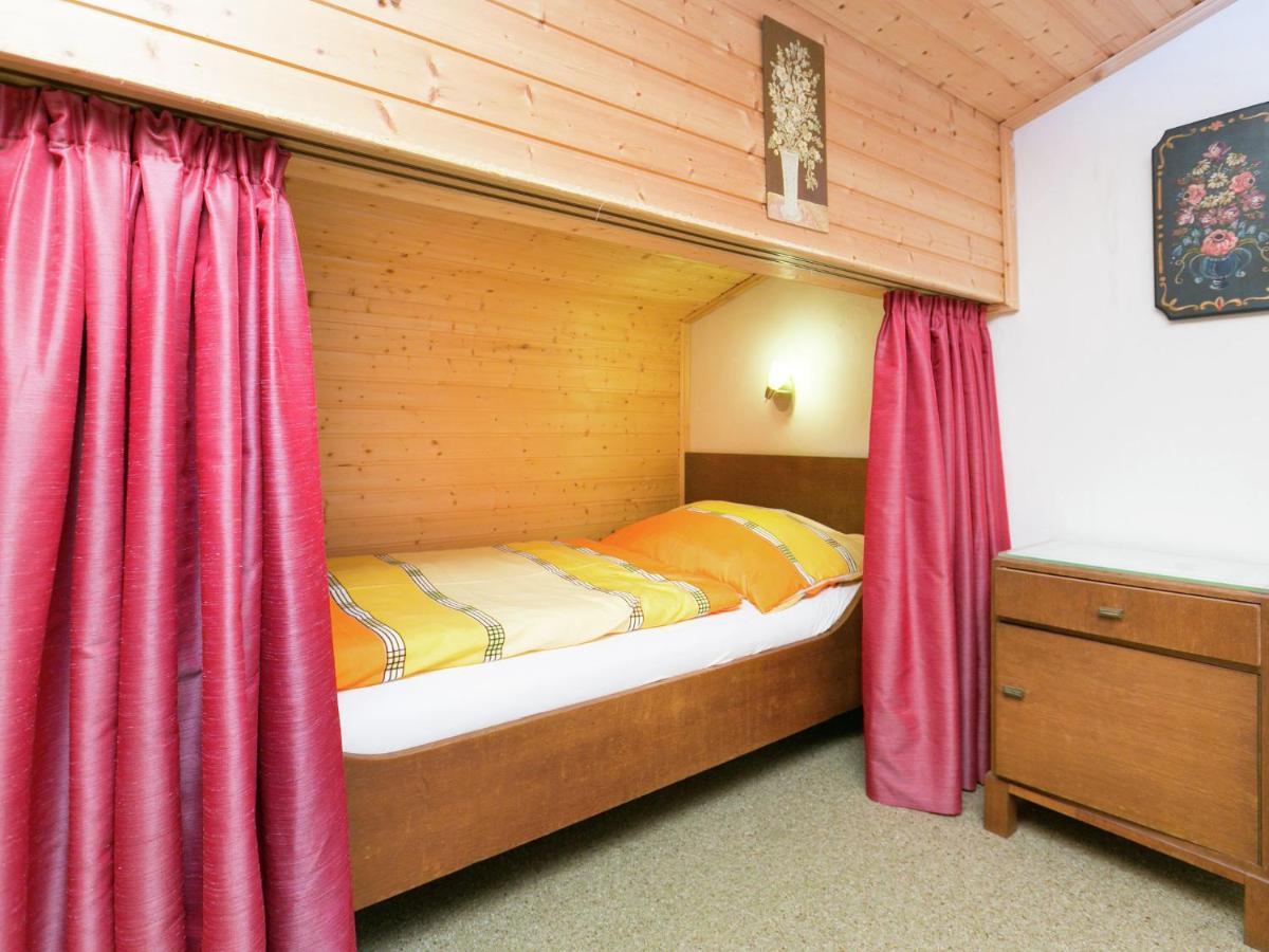 Apartment In Salzburgerland Near The Ski Area Viehhofen Kültér fotó