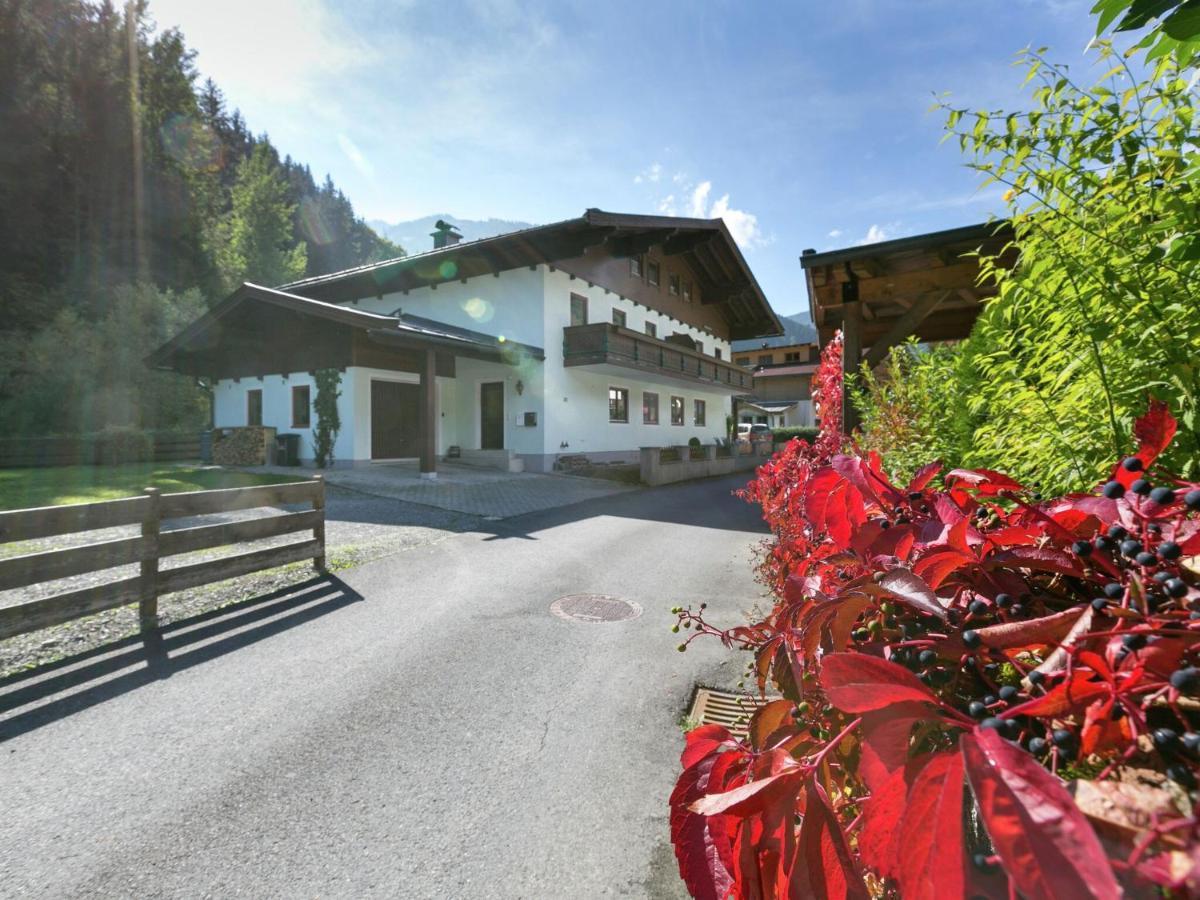 Apartment In Salzburgerland Near The Ski Area Viehhofen Kültér fotó