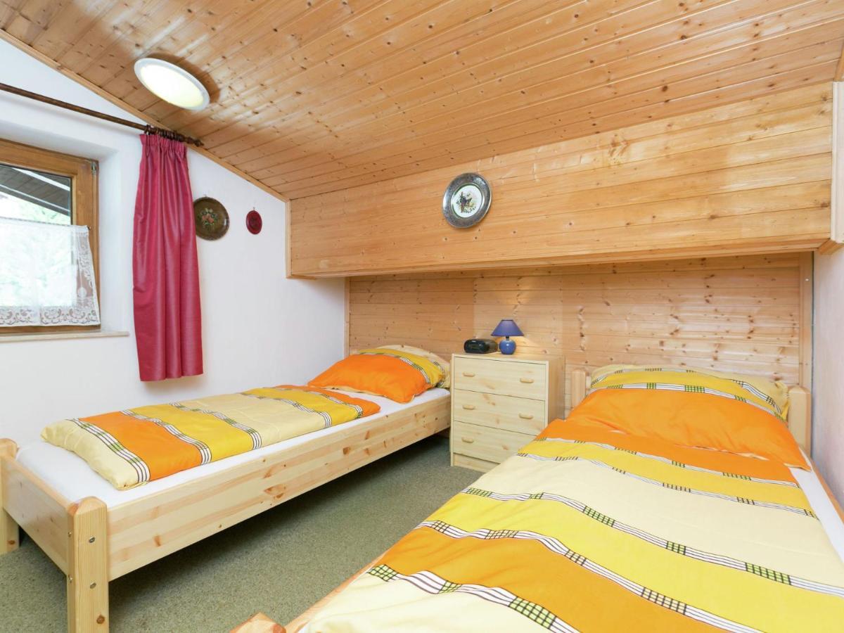 Apartment In Salzburgerland Near The Ski Area Viehhofen Kültér fotó