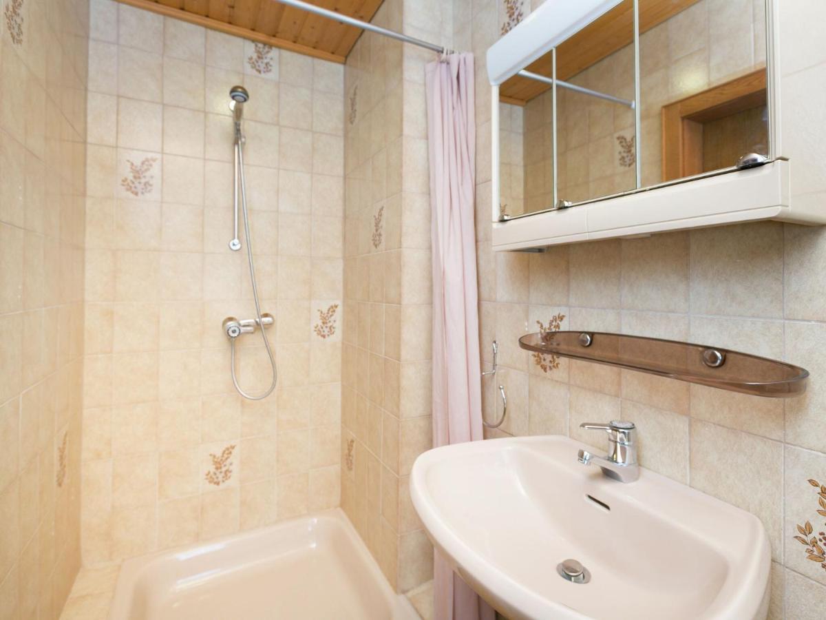 Apartment In Salzburgerland Near The Ski Area Viehhofen Kültér fotó