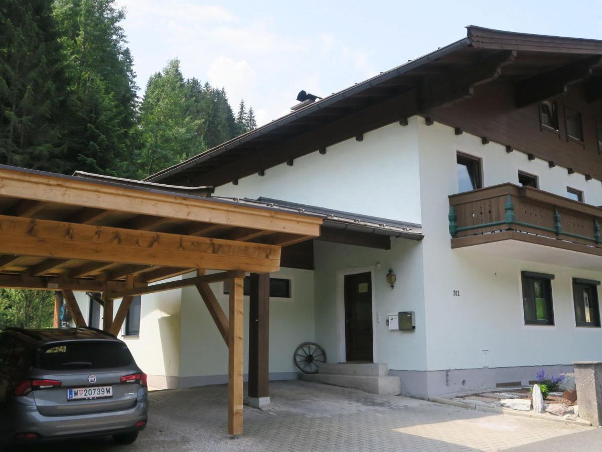 Apartment In Salzburgerland Near The Ski Area Viehhofen Kültér fotó