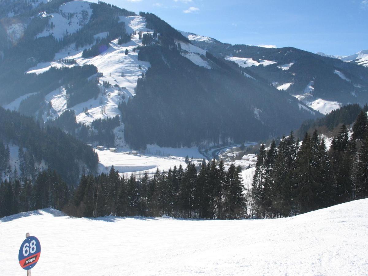 Apartment In Salzburgerland Near The Ski Area Viehhofen Kültér fotó