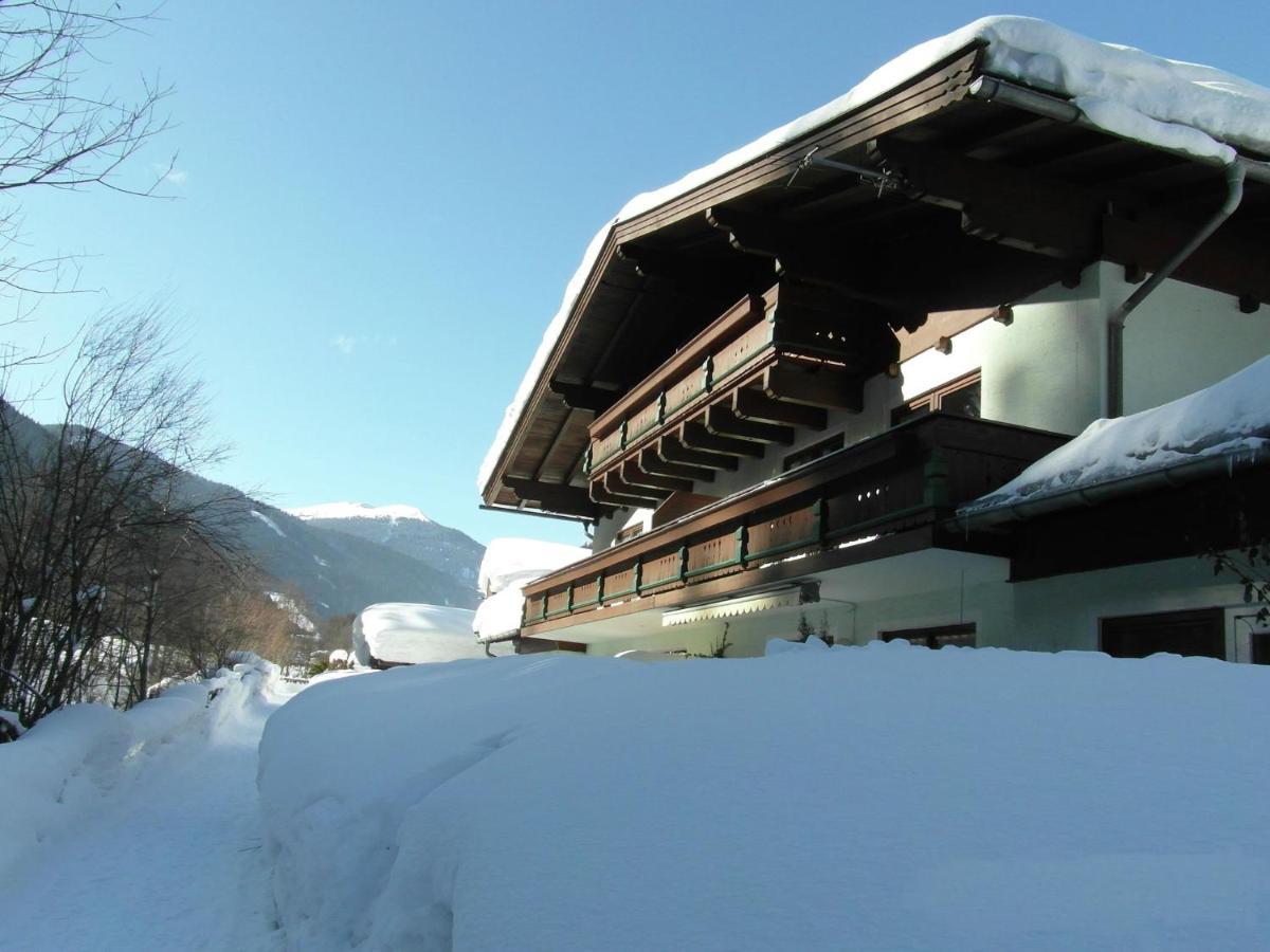 Apartment In Salzburgerland Near The Ski Area Viehhofen Kültér fotó
