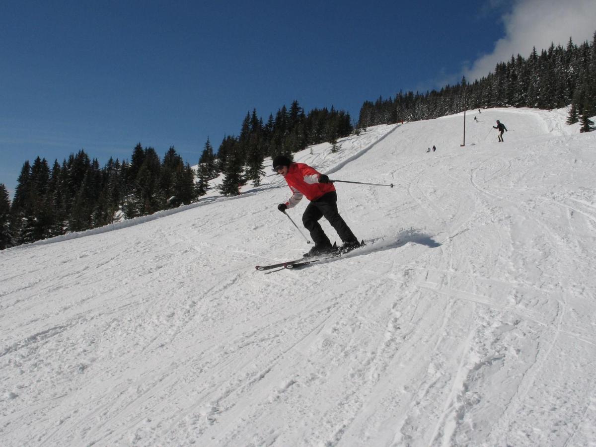 Apartment In Salzburgerland Near The Ski Area Viehhofen Kültér fotó